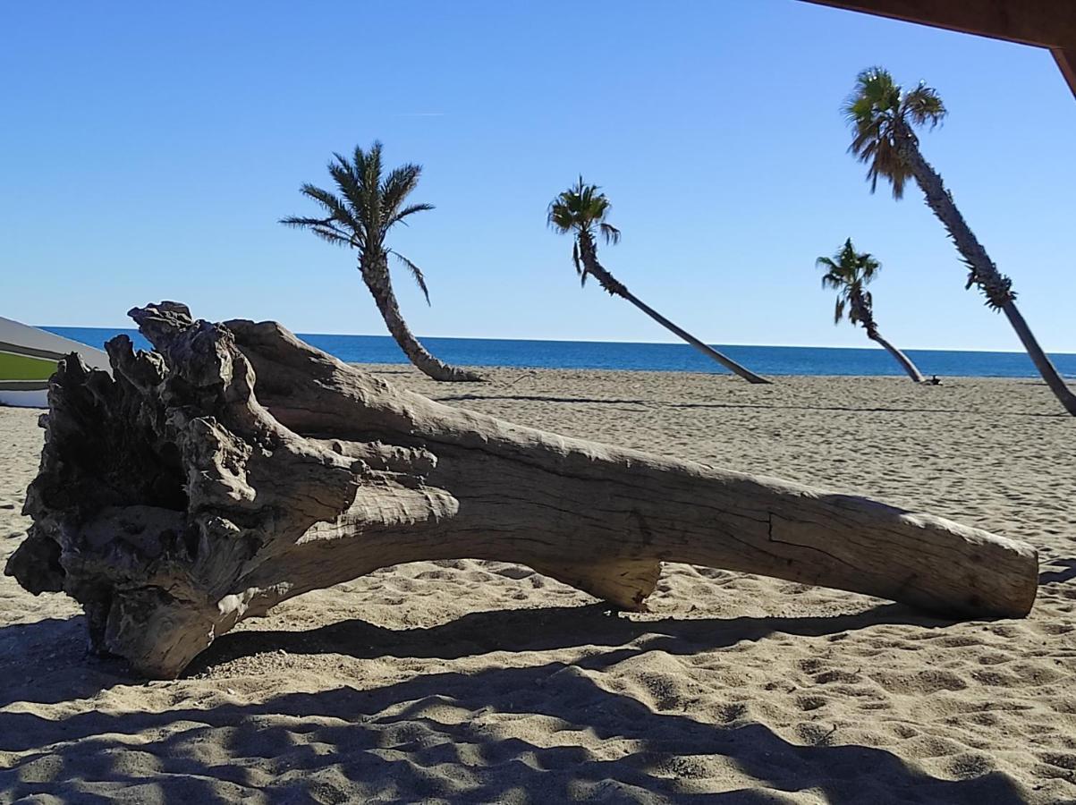 Vue Mer Panoramique Wifi Gratuit Le Barcarès Kültér fotó